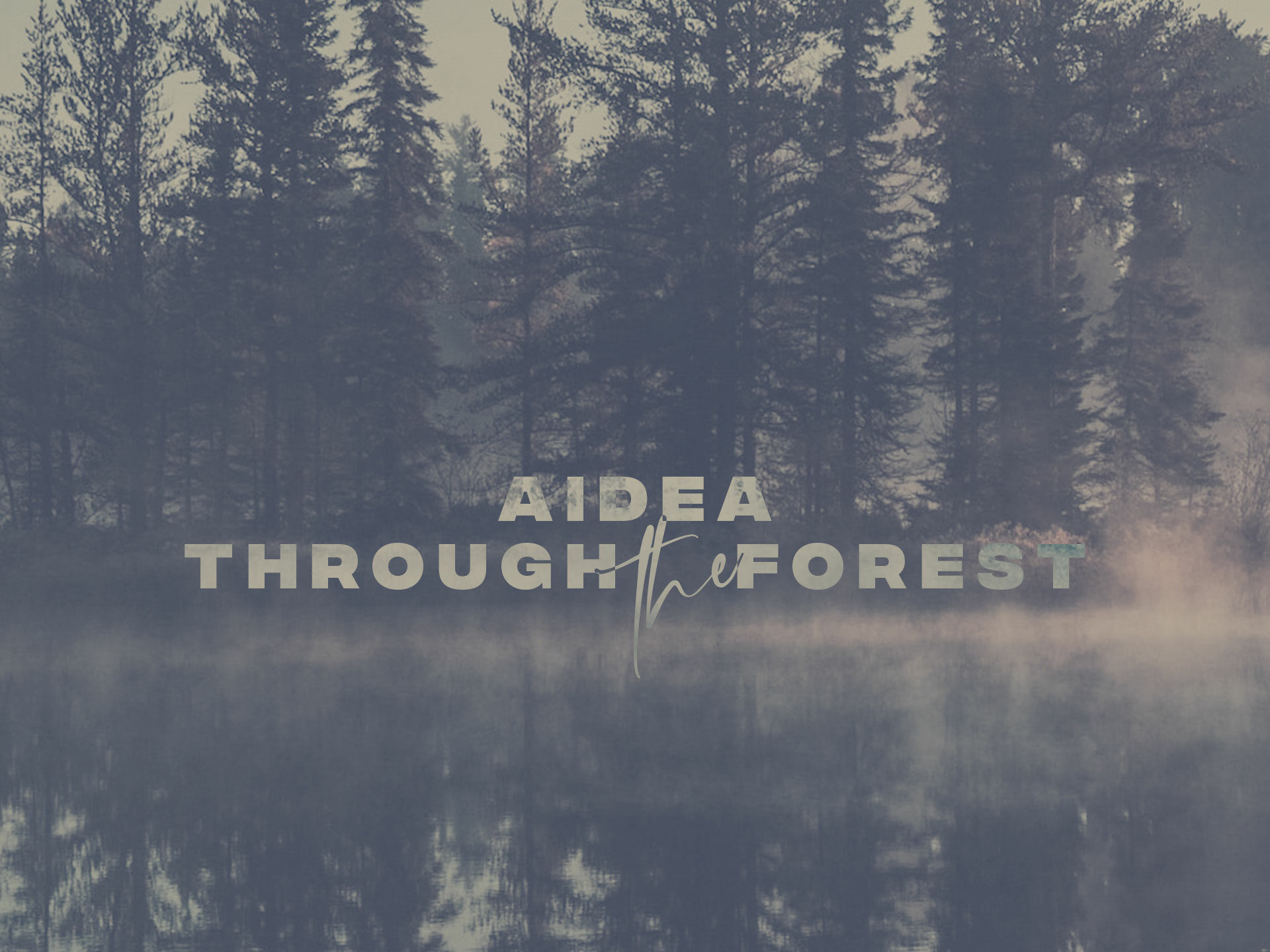 aidea album through the forest