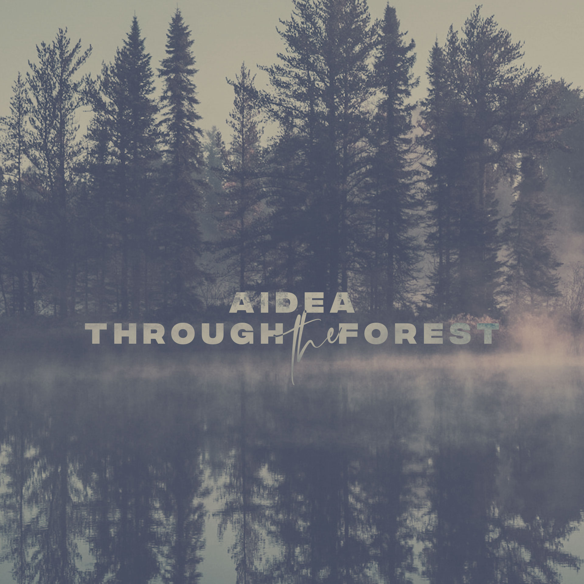 aidea album through the forest